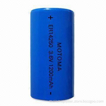 3.6V 1,200mAh Lithium Battery with Wide Range of Operating Temperature, Ideal for Testing Equipment